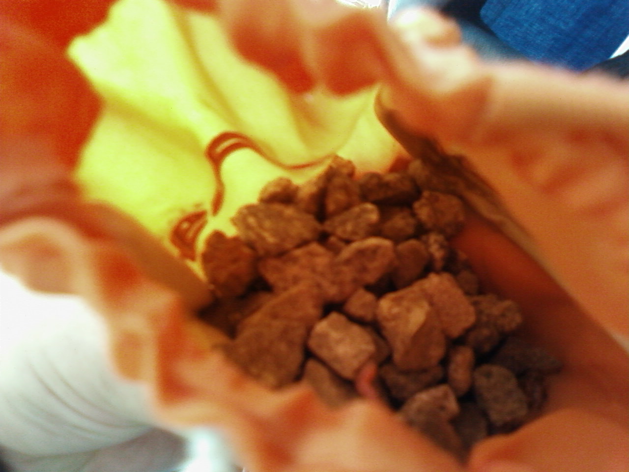 SP_A0227.jpg