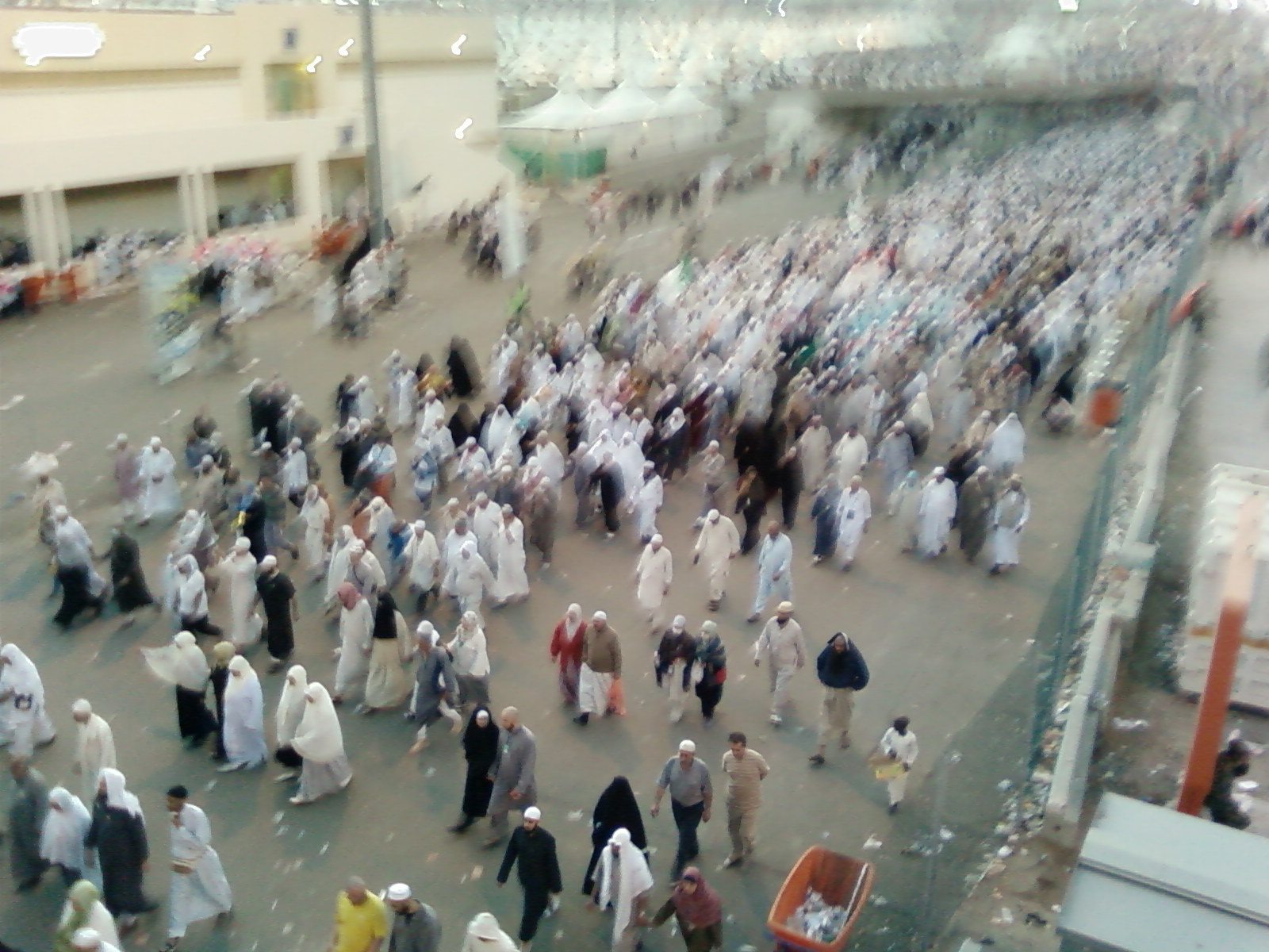 SP_A0378.jpg