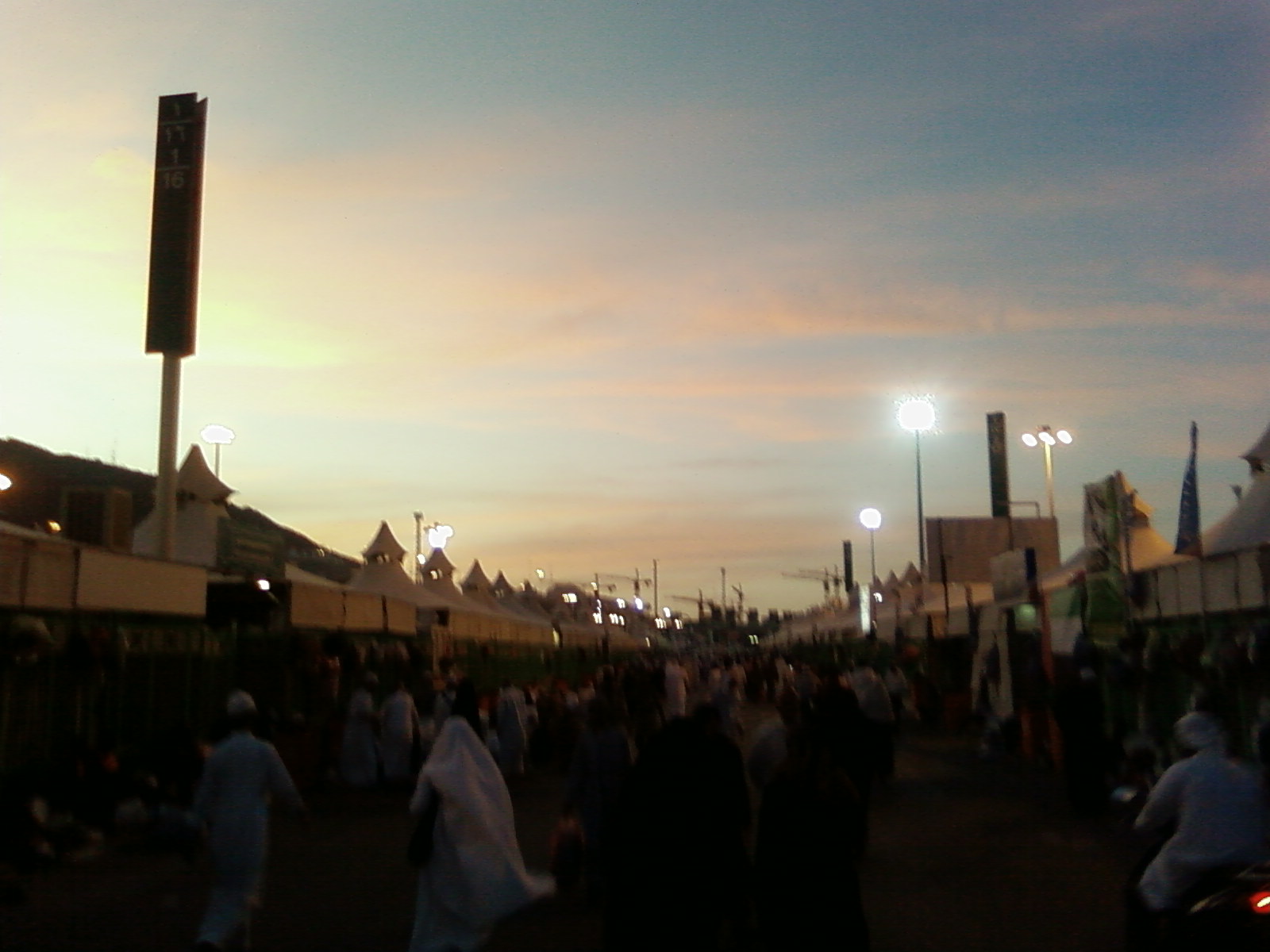 SP_A0384.jpg